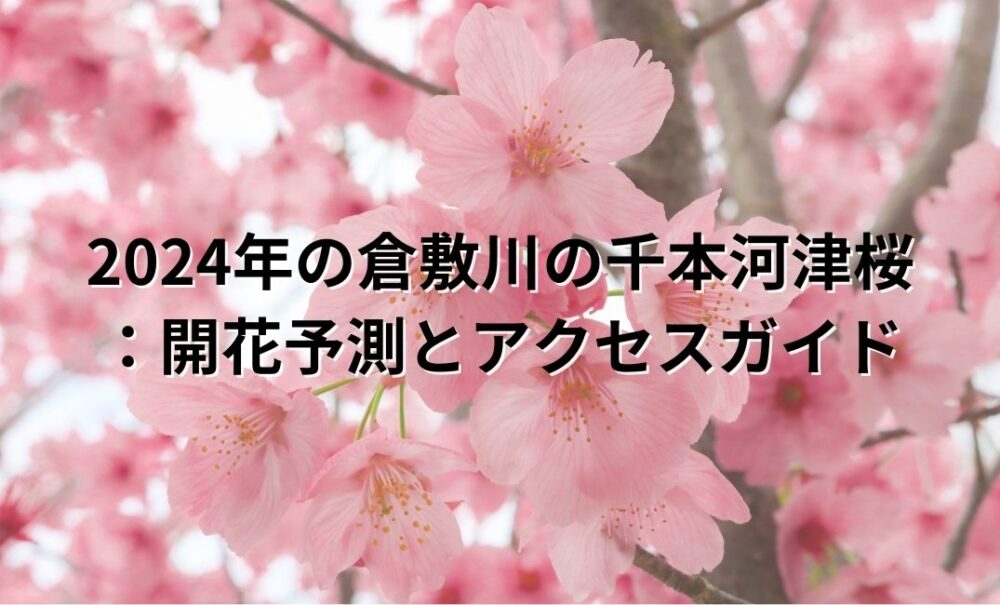 倉敷川　河津桜